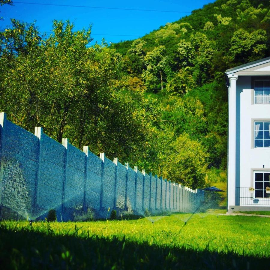 Green Hill Villa Călimăneşti 外观 照片