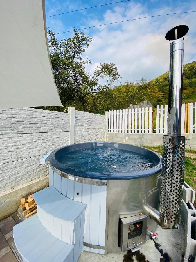 Green Hill Villa Călimăneşti 外观 照片
